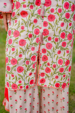 Scarlet Petals